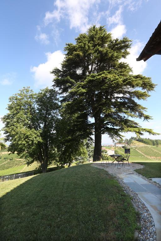 Villa Bricco Paglieri, Entire Villa Alba  Extérieur photo